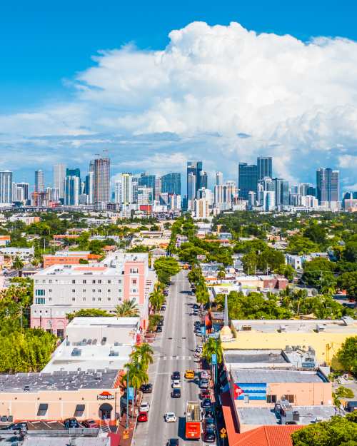 Pest control service in Miami Florida