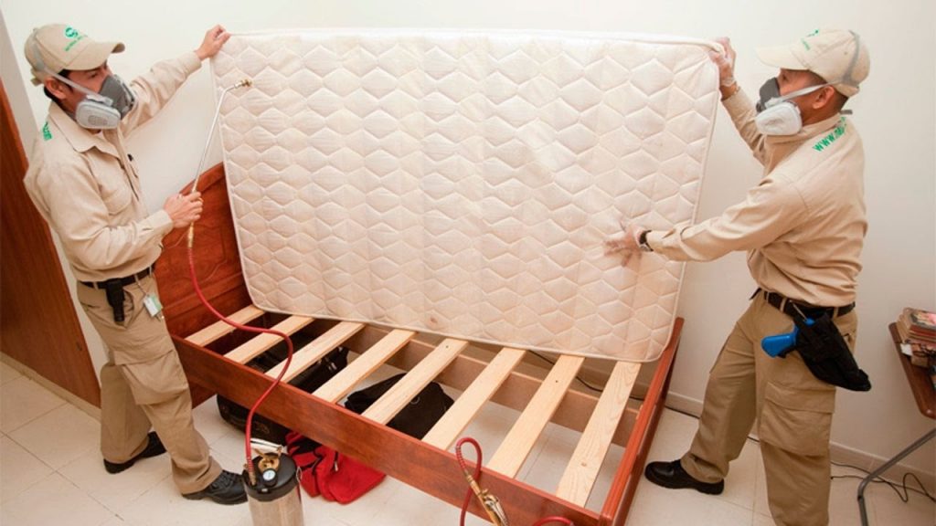 Traditional Methods Used for Bed Bug Management