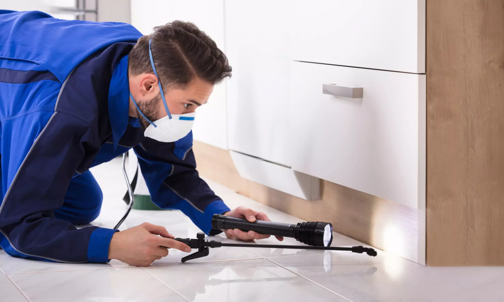 The Growing Need for Pest Management in Residential Areas