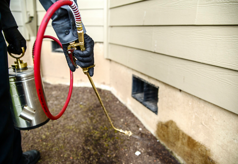 Why Hidden Entry Points Often Go Unnoticed?