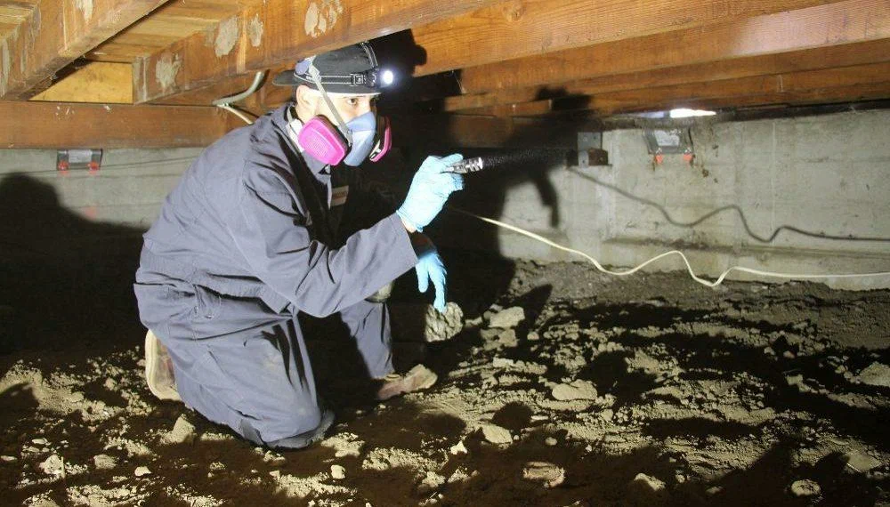 How Termites Invade Properties?